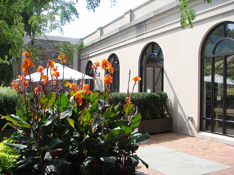 004 Longwood Gardens [2008 August 23].JPG - Longwood Gardens in Pennsylvania